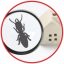 Pests-Proof Pest-Proof